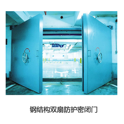 钢结构双扇防护密闭门